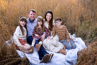 2024 Mini Session