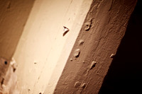 0029_110212_083235
