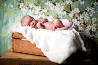 120718 - Emma Grace - Newborn
